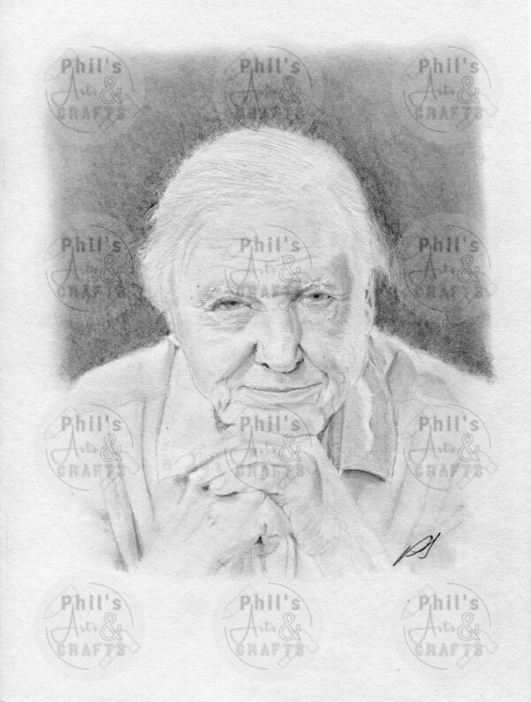 Sir David Attenborough | Print from Original Pencil Drawing