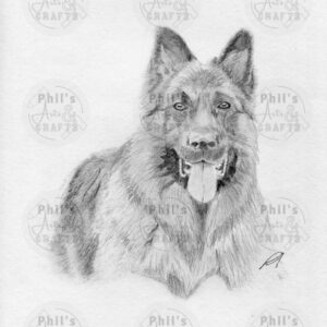 German Shepherd Dog