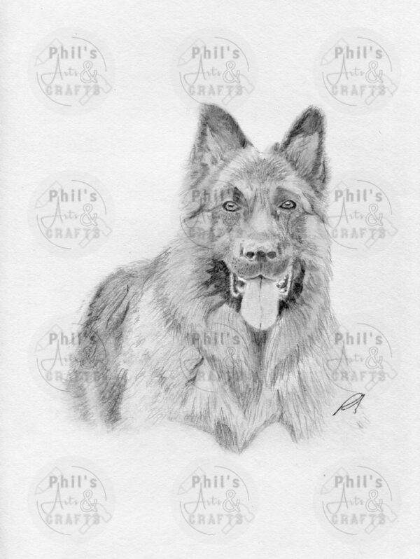 German Shepherd Dog