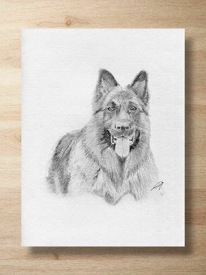 Custom Portrait of a German Shepherd Dog